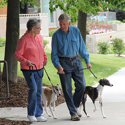 Retirement Living Lake Apartment Homes Milwaukee'
