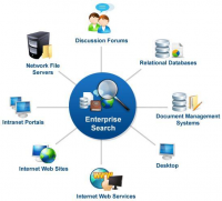 Global Enterprise Search Software Market