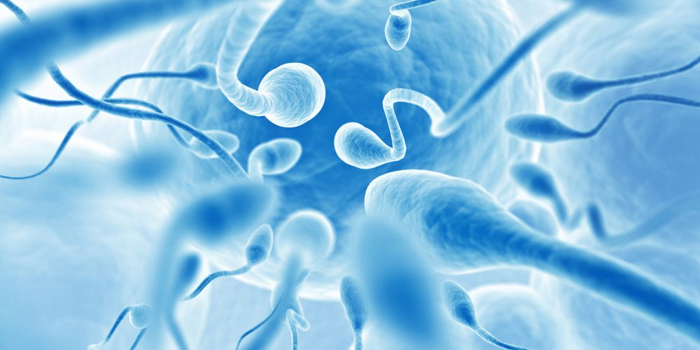 Male Infertility Market