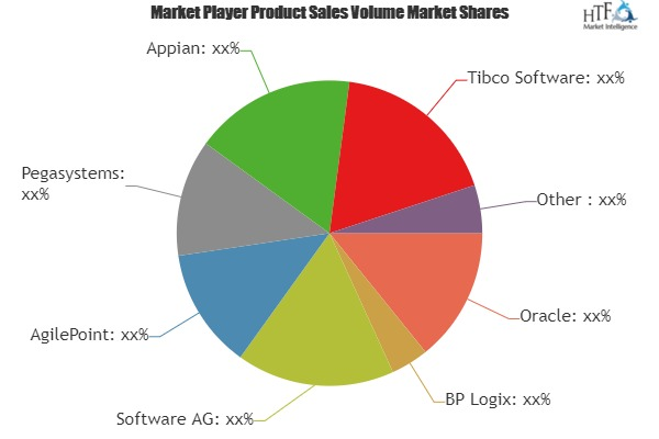 Enterprise Business Process Management Software Market