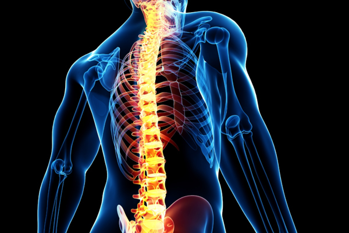 Spinal Cord Stimulation Market