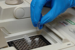 Veterinary Molecular Diagnostics Market