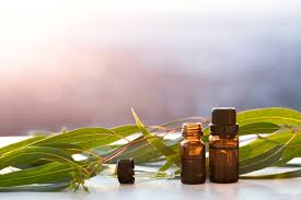 Vetiver Oil Market Analysis &amp; Forecast For Next 5 Ye