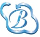 BHAVITRA TECHNOLOGIES PVT LTD Logo