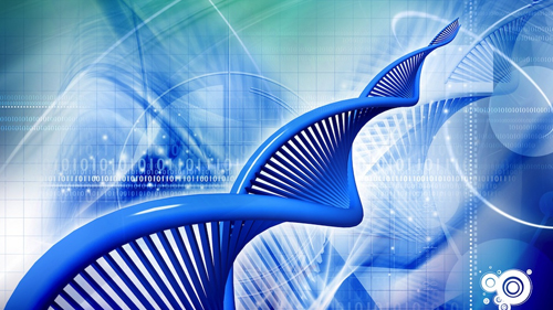 Computational Biology Market