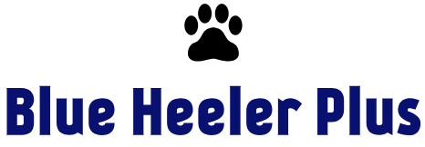 BlueHeelersPlus.com