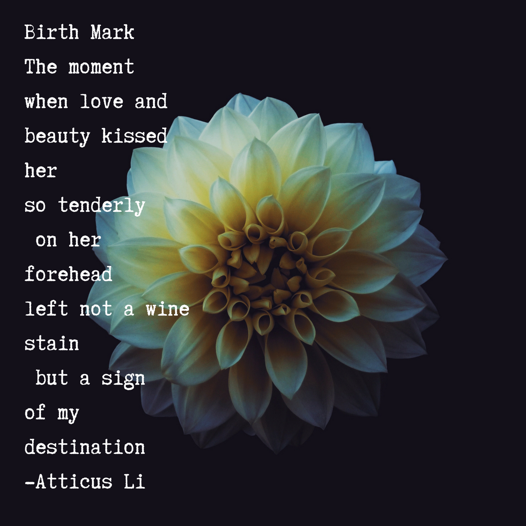 Atticus Li - The Enigma of Poetry and Meditation'