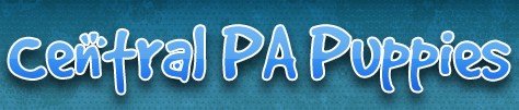 Centralpapuppies'