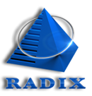 Radixweb Logo