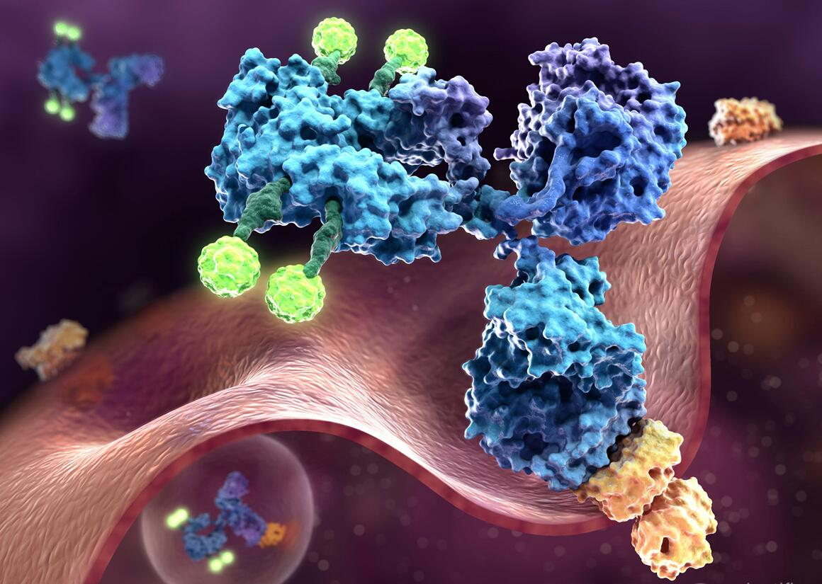 Monoclonal Antibody Therapeutics Market'