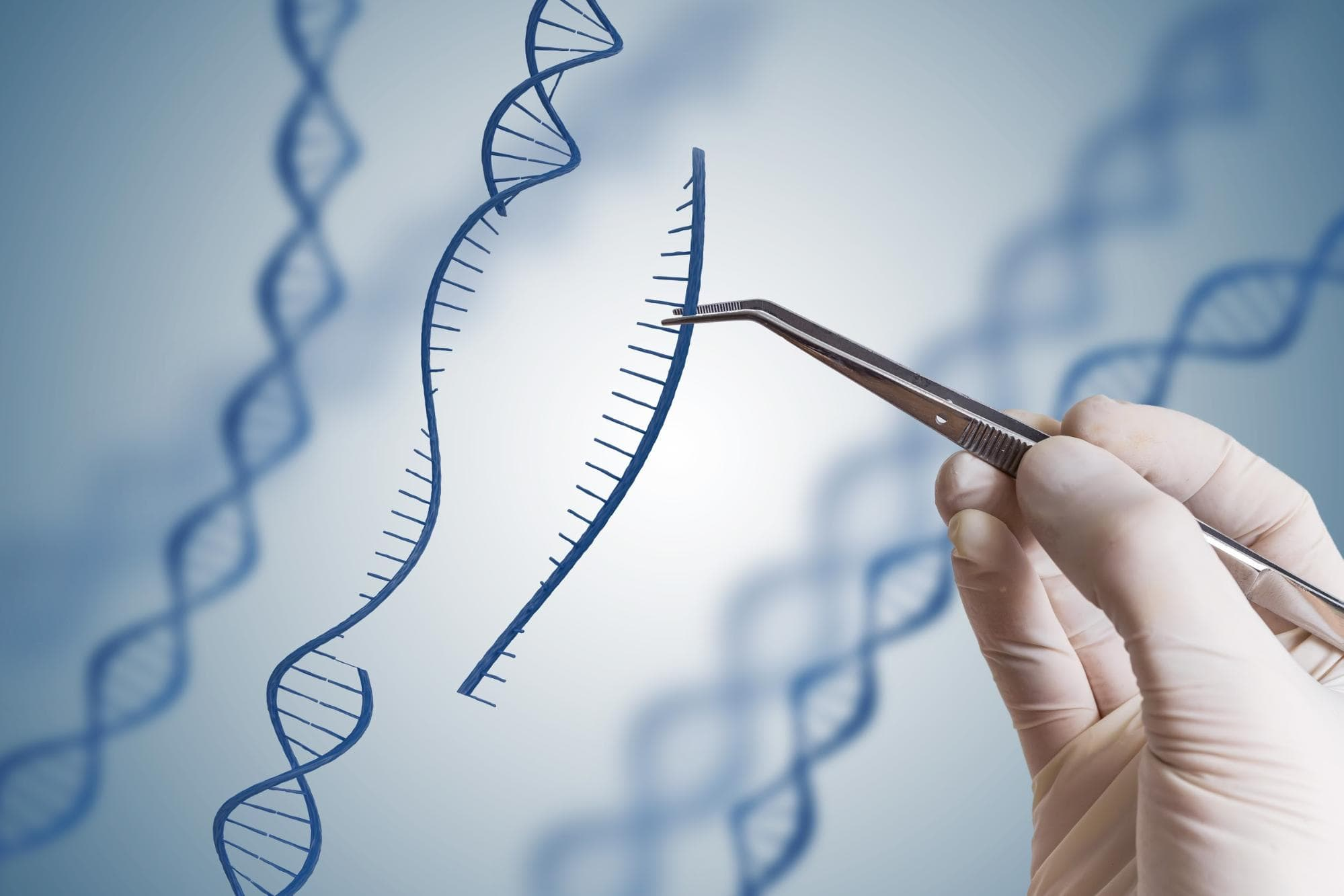 Next-Generation Sequencing (NGS) Market'