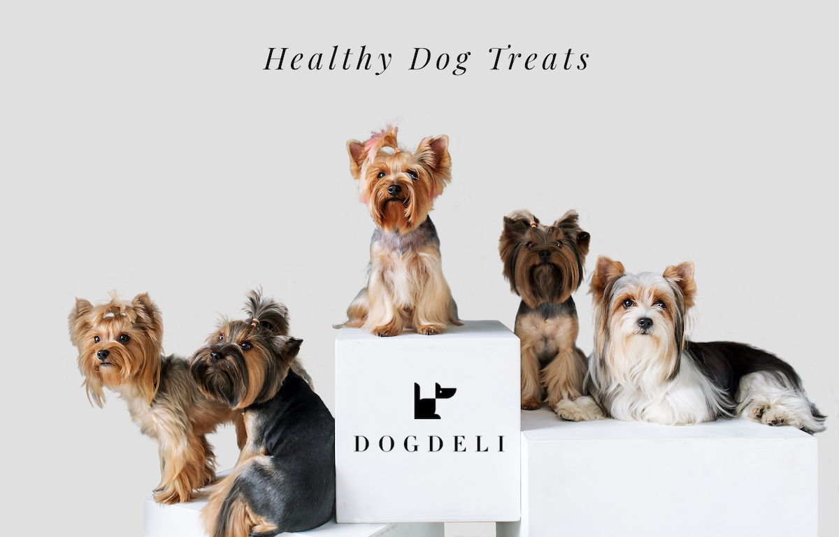 Healthy Dog Treats'