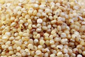 Sorghum and Sorghum Seeds Market