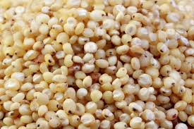 Sorghum and Sorghum Seeds Market'