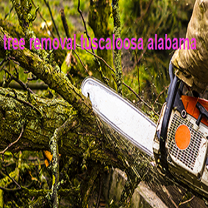 Company Logo For Robert Tree Service Company'