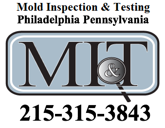 Mold Inspection and Testing'