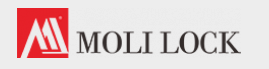 Moli Lock Logo