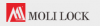 Company Logo For Moli Lock'