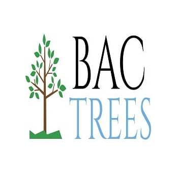 BAC Trees Logo