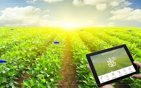 IOT in Agriculture Market