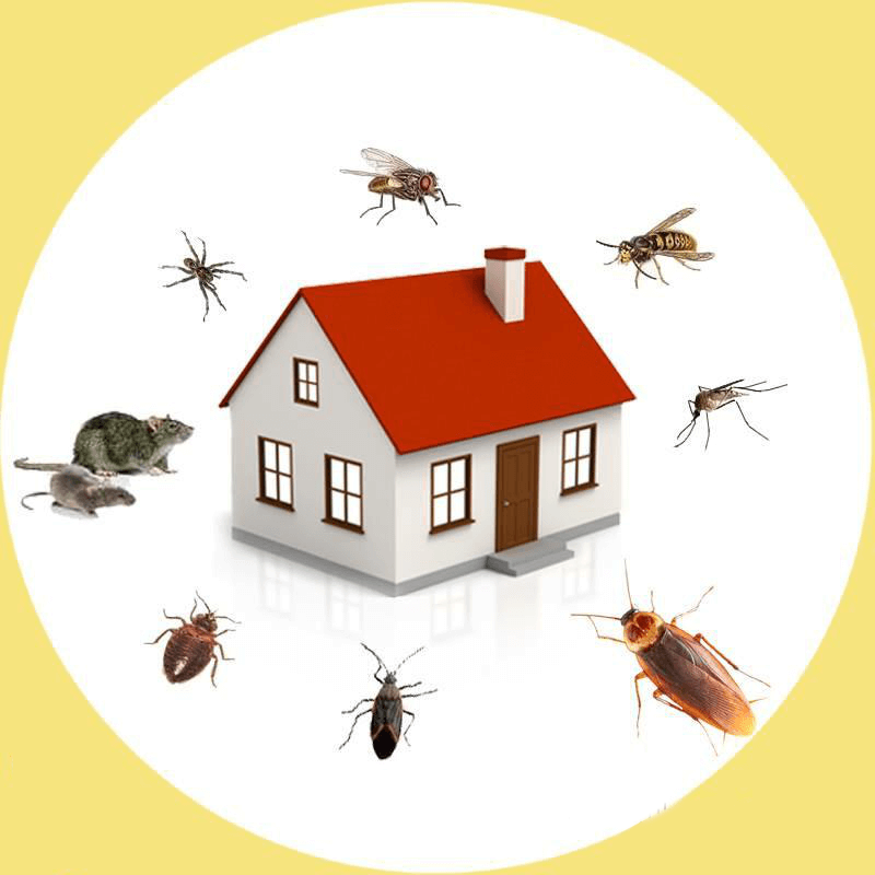 Europe Pest Control Services Market