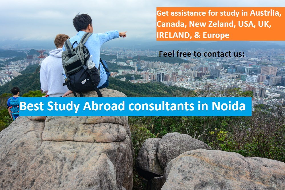 Company Logo For Mitra - Study abroad consultants'