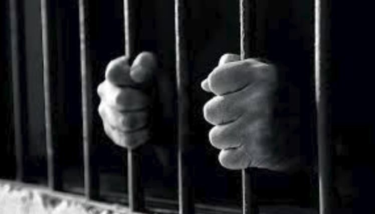 Criminal Defense Lawyer Plymouth'