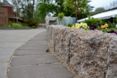 Norristown Brick & Elmwood Zoo