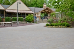 Norristown Brick & Elmwood Zoo