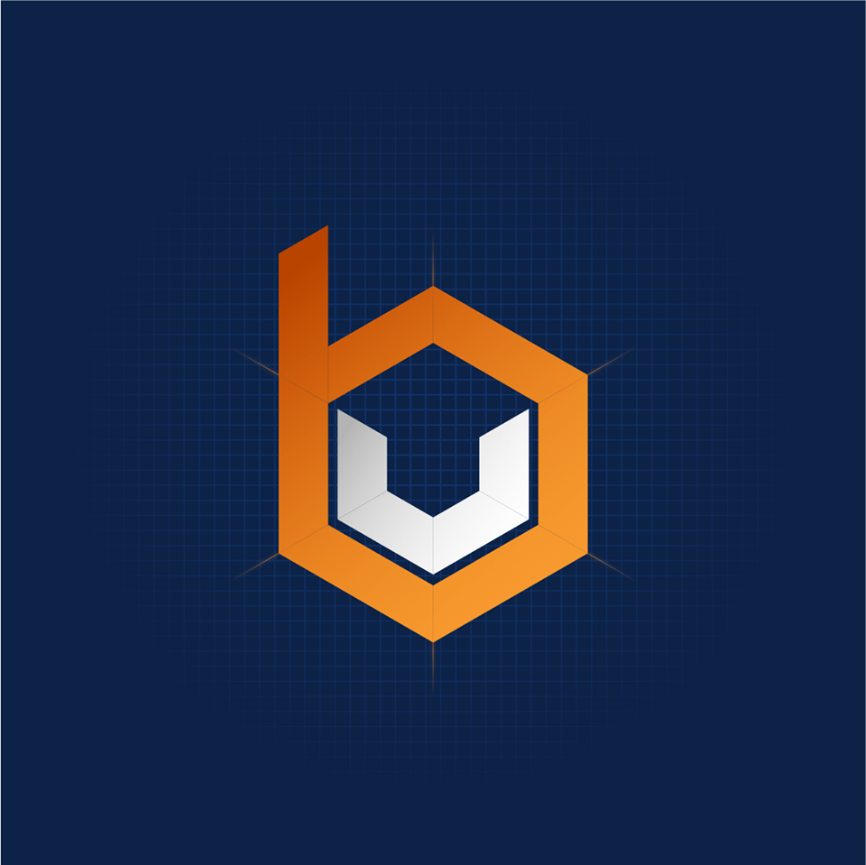 BizVenture Marketing'