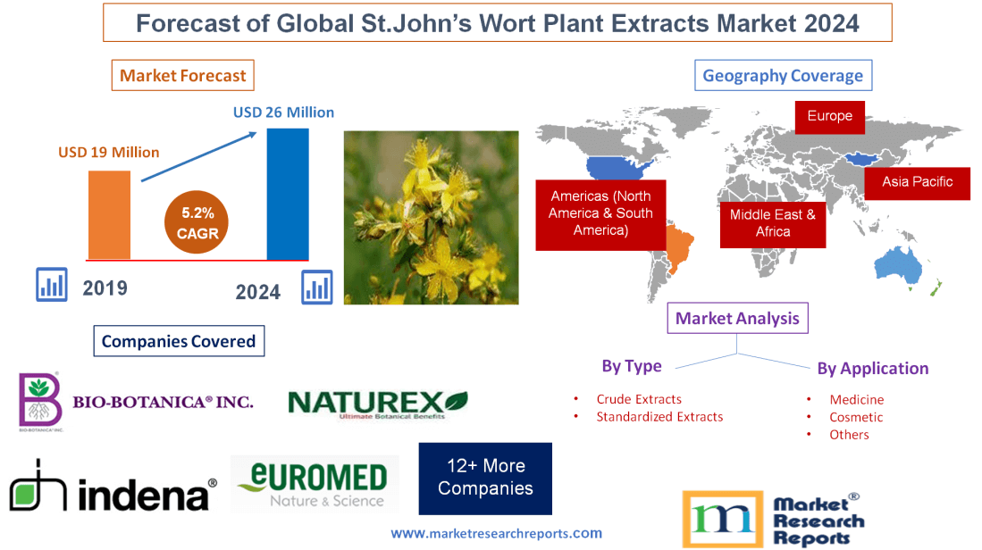 Forecast of Global St.John&rsquo;s Wort Plant Extracts M