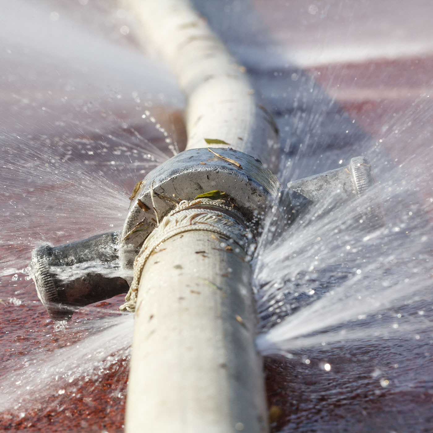 Water Leak Services'
