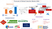 Forecast of Global Catechin Market 2024