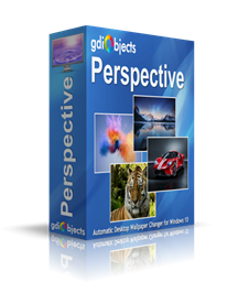 Perspective - Box Shot