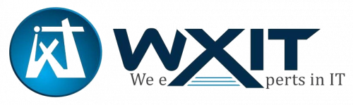 Company Logo For Wxit Consulatnt Services Private Limited'