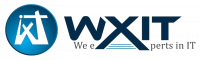 Wxit Consulatnt Services Private Limited Logo