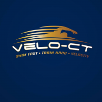 Velo-CT Logo