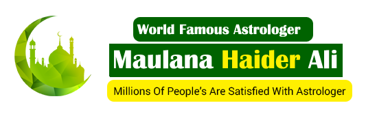 Company Logo For no1muslimastrologer.com'