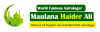 Company Logo For no1muslimastrologer.com'