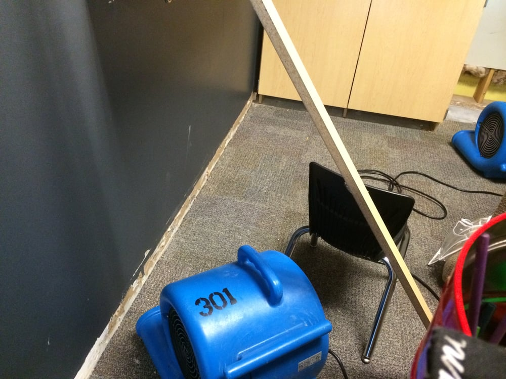 mold remediation'