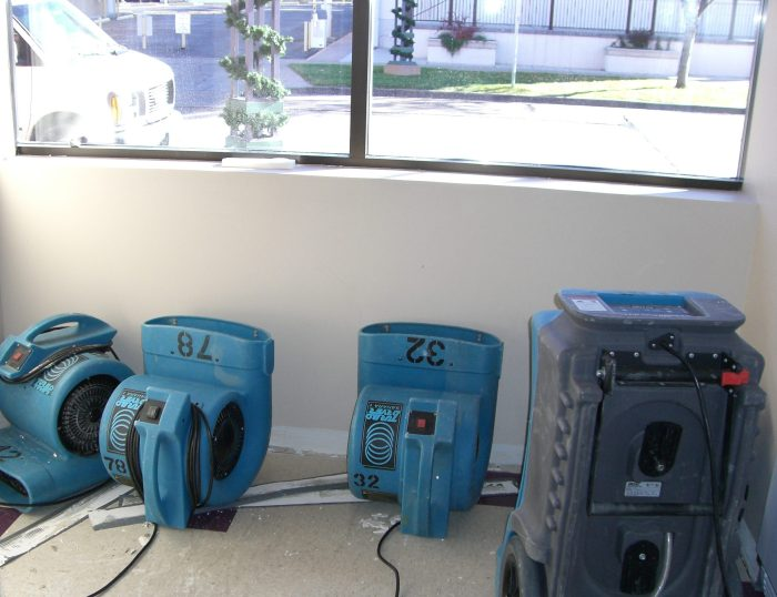 Mold Removal CO'