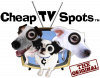 CheapTVSpots.com logo'