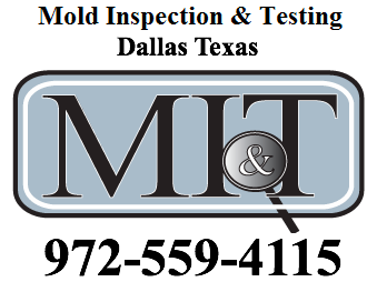 Mold Inspection & Testing