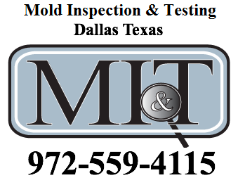 Mold Inspection &amp; Testing'