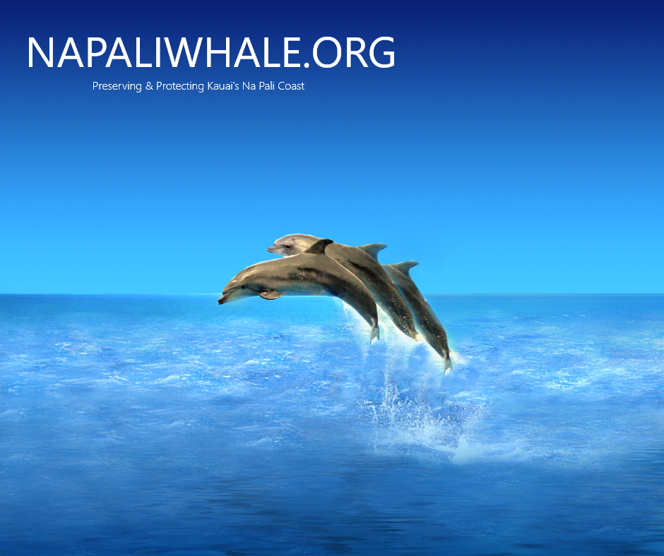 Company Logo For Na Pali Whale'