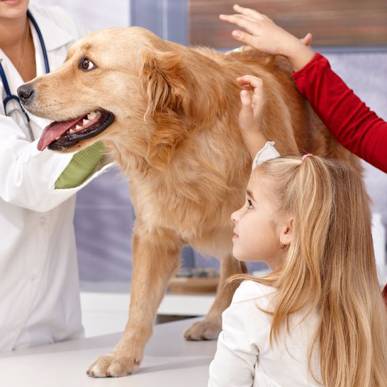 Veterinarian'