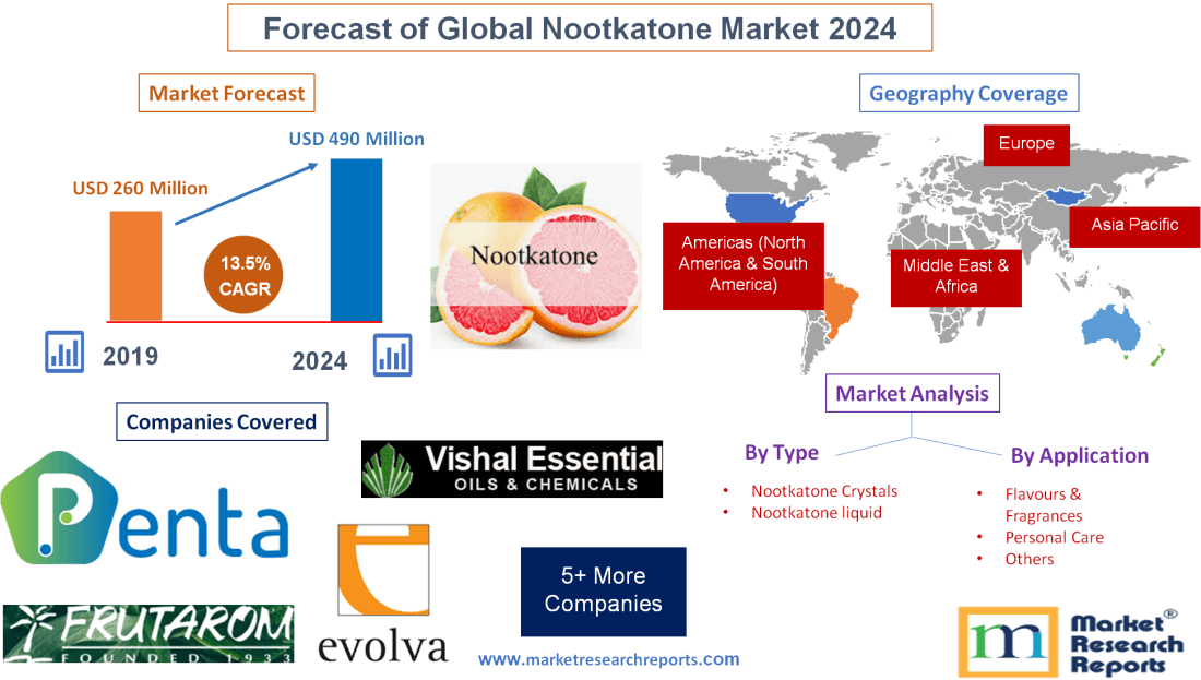 Forecast of Global Nootkatone Market 2024'