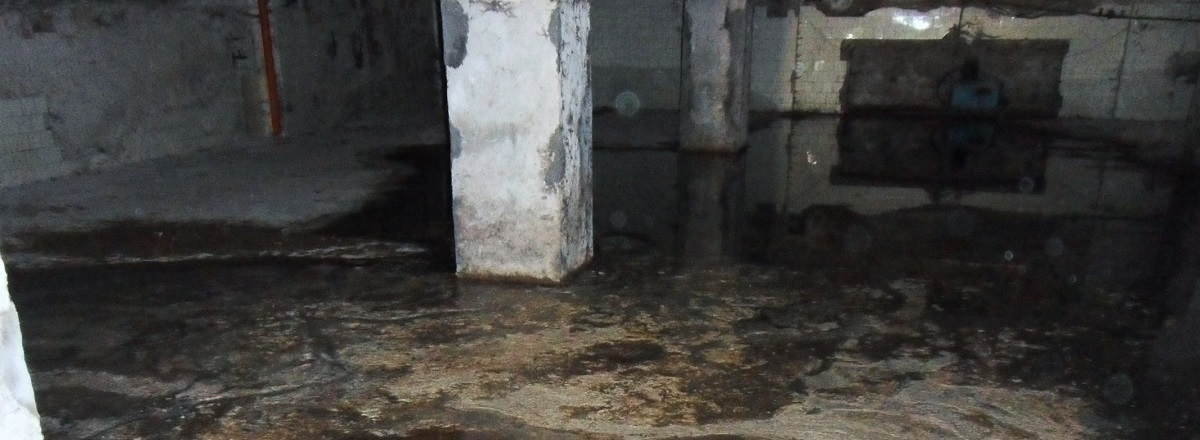 Exterminator Riverside CA'