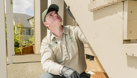 Exterminator Near Me'