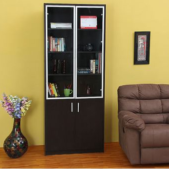 Two Door Bookcase'